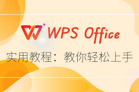 WPS表格功能全面解析：高效使用技巧